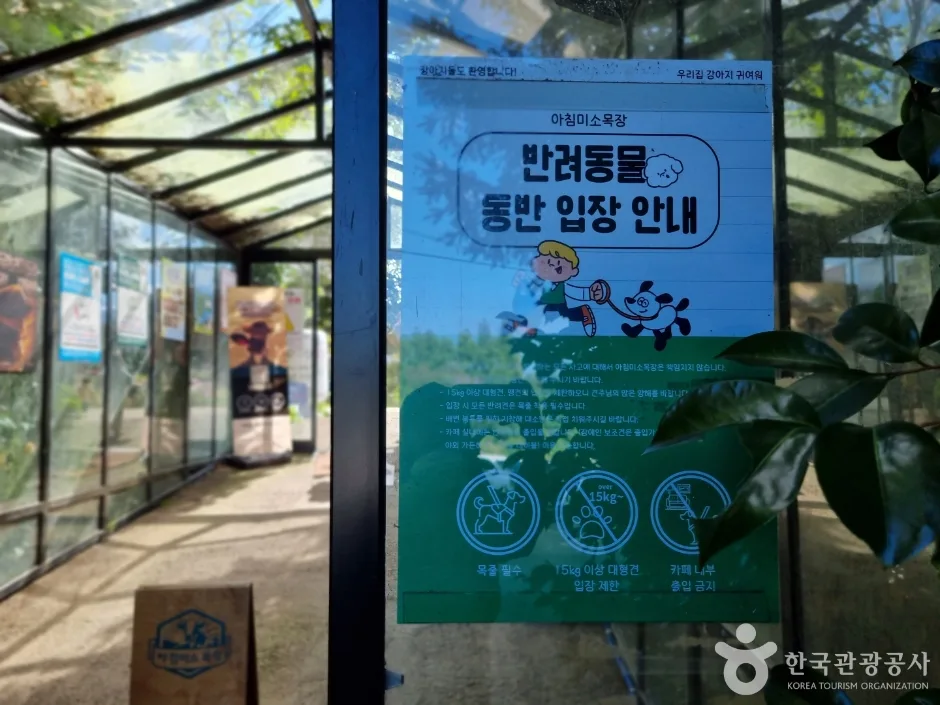 제주_제주_아침미소목장_외부_3.jpg