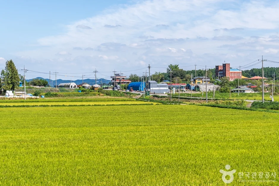 서천 달고개모시마을 (15)