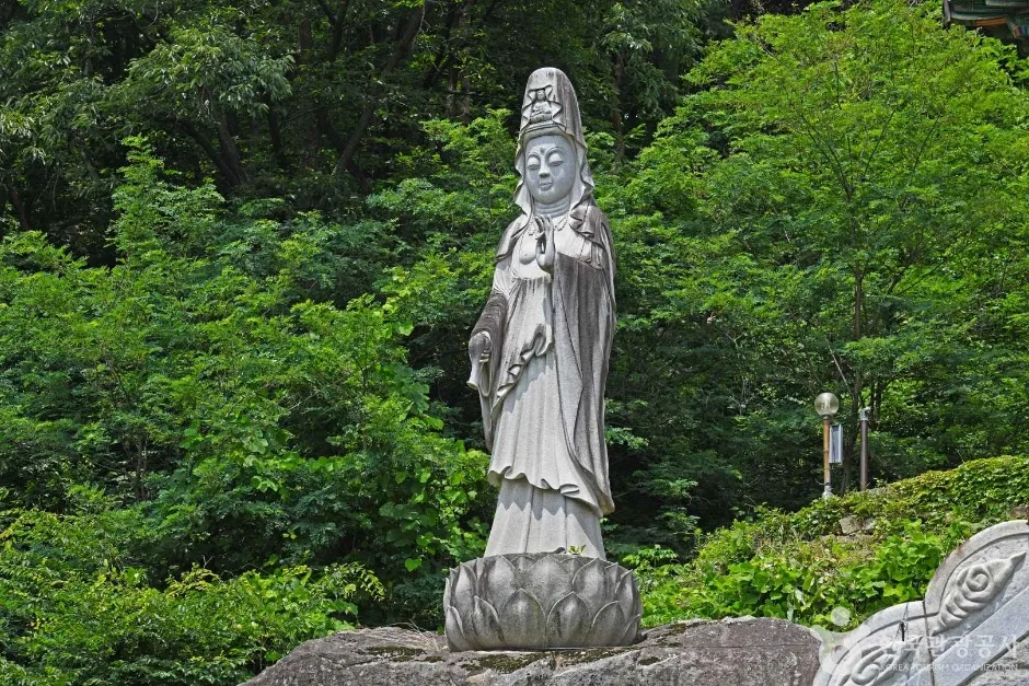 백운사(괴산) (3)