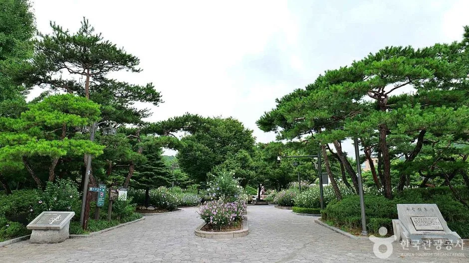 서울_종로_무궁화동산 (3)