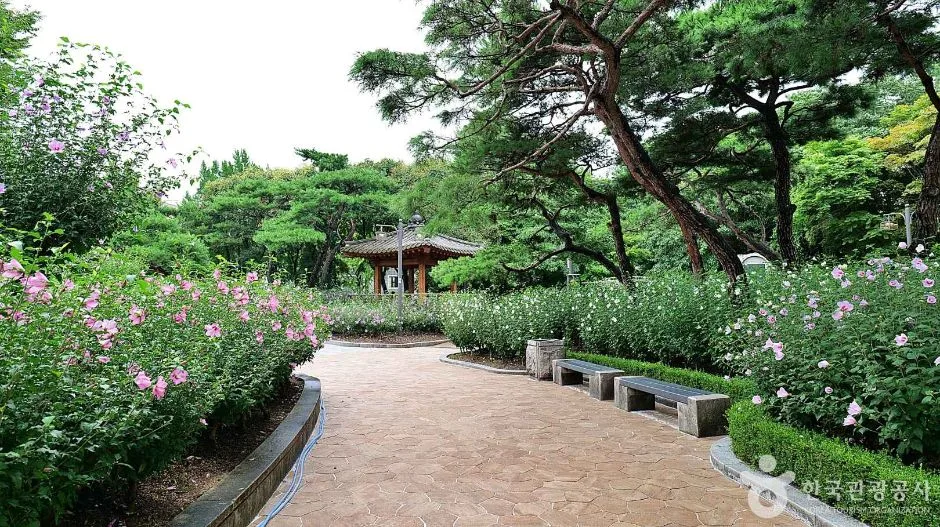 서울_종로_무궁화동산 (5)