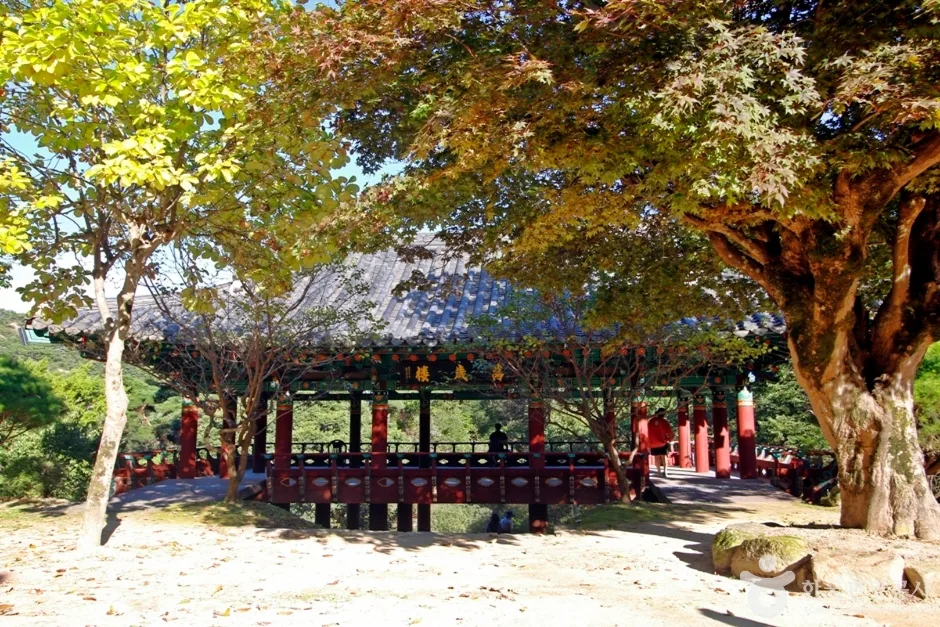 영국사(영동) (10)