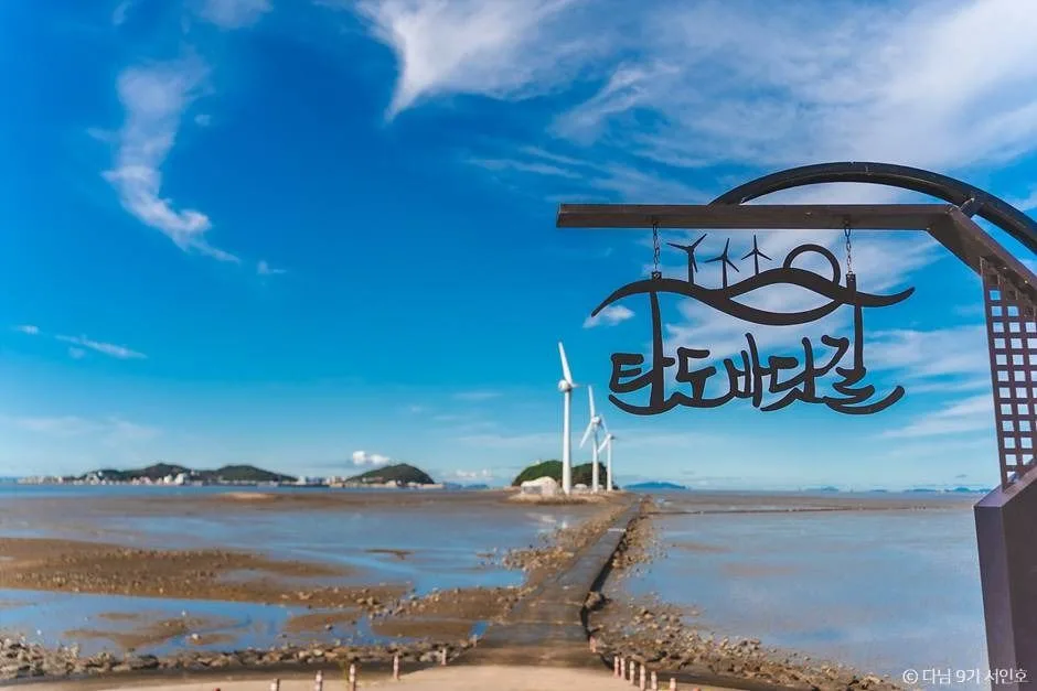 경기도 화성 안산 가볼만한곳 제부도 서해랑케이블카, 제비꼬리길, 탄도항 가을 러닝 코스 추천_탄도항_3-6