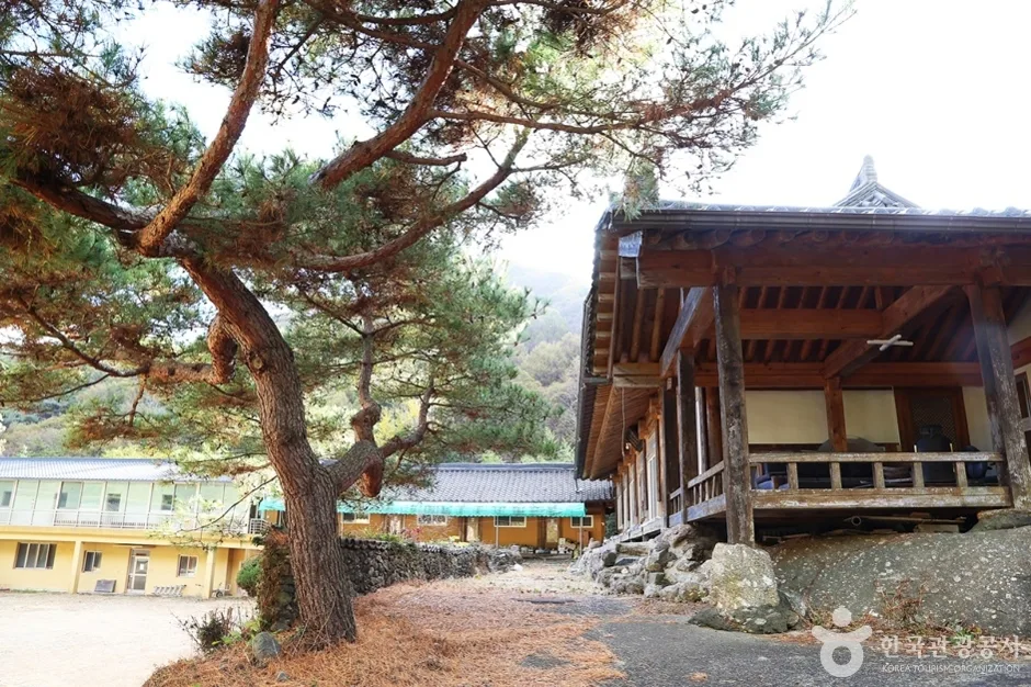 청학동 명륜학당 (9)
