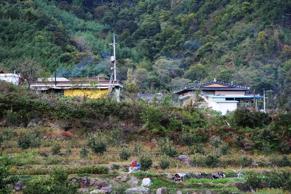 구례_남산마을 (1).jpg