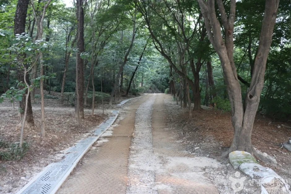 갈마공원 (16)