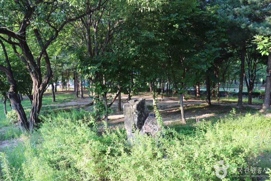 갈마공원 (13)