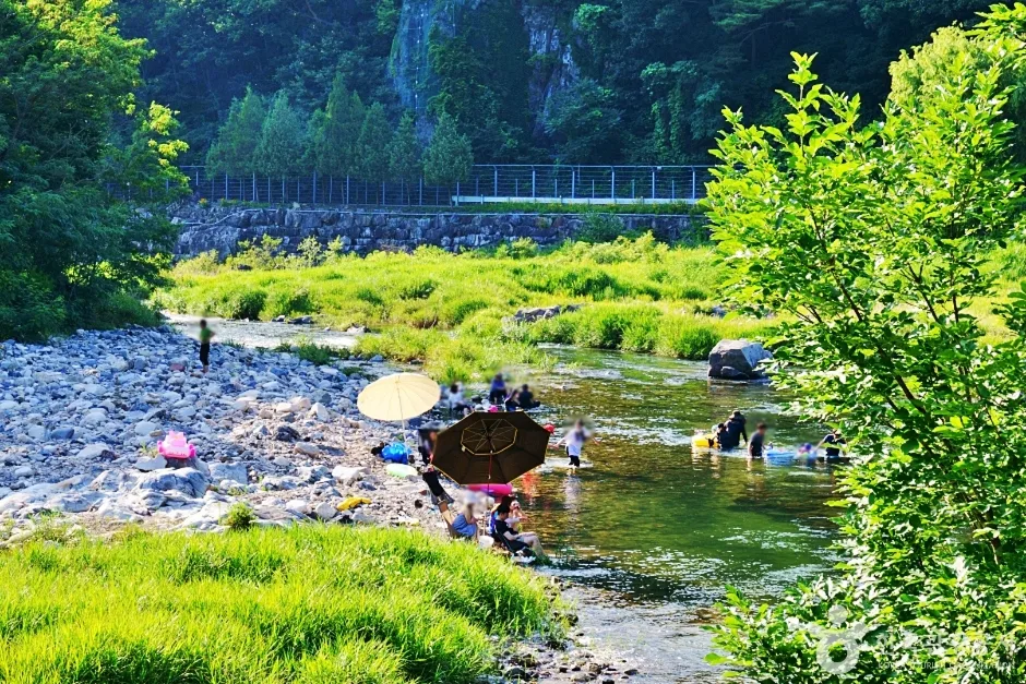 충북_단양_소선암자연휴양림 (13)