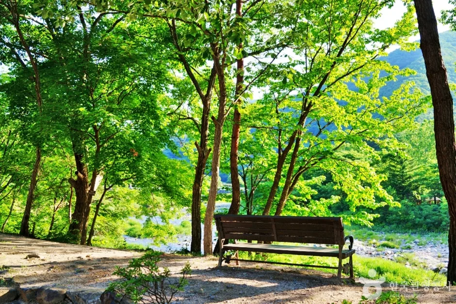 충북_단양_소선암자연휴양림 (1)