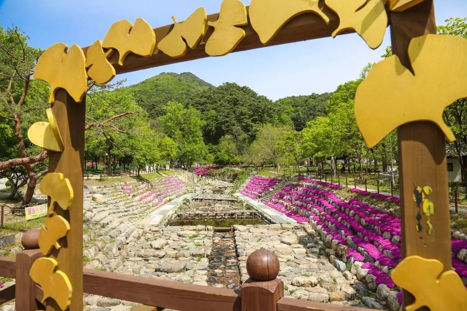 양평_용문산관광단지 (4)