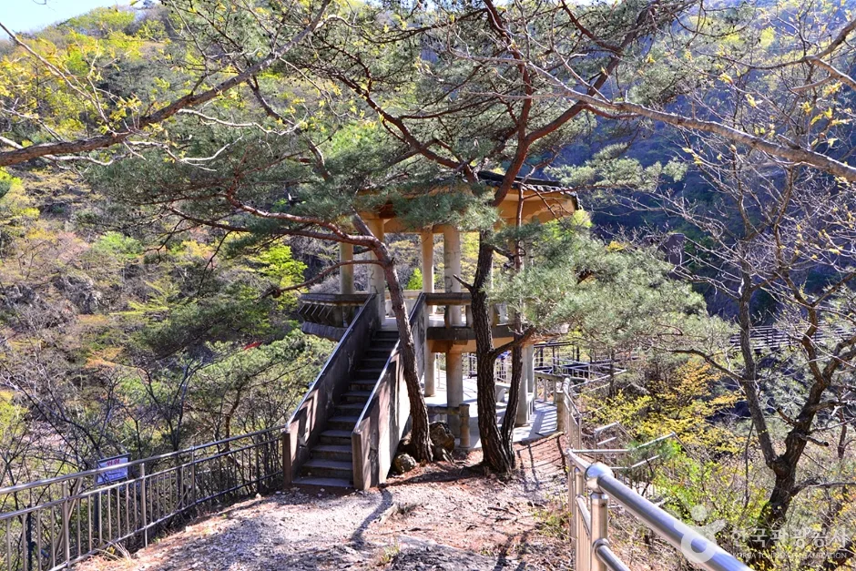 전남_담양_가마골계곡 (10)