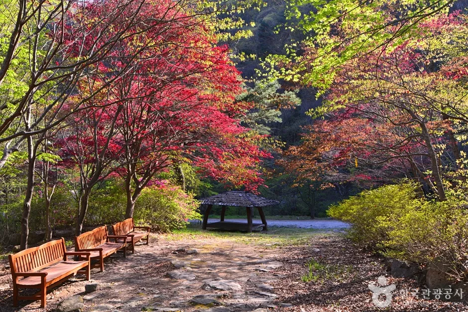 전남_담양_가마골계곡 (18)