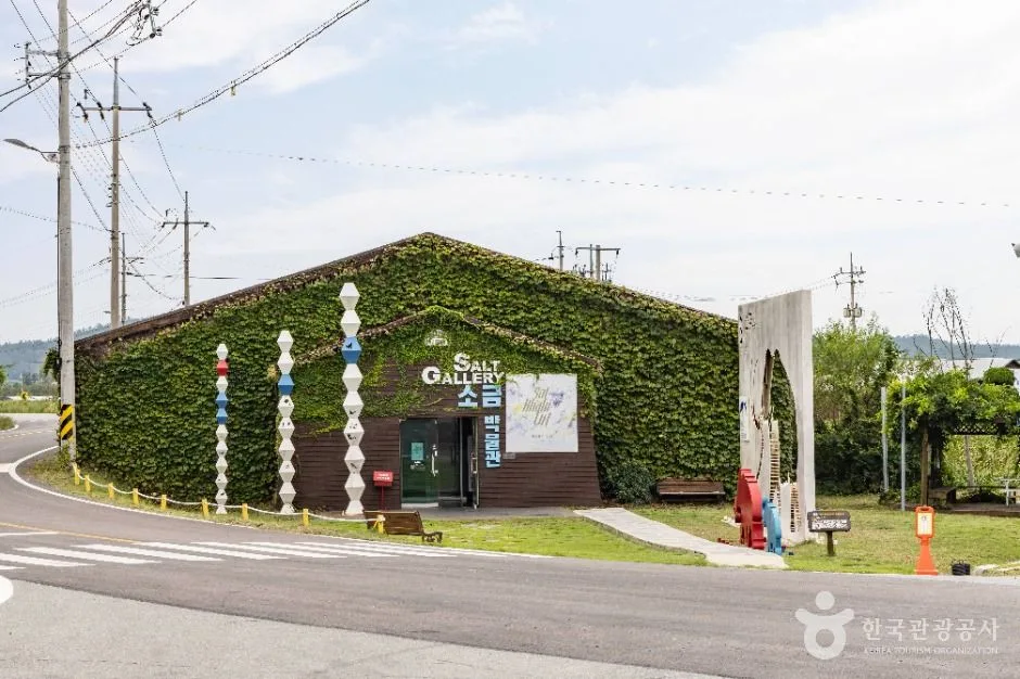 신안_증도(신안) (1)