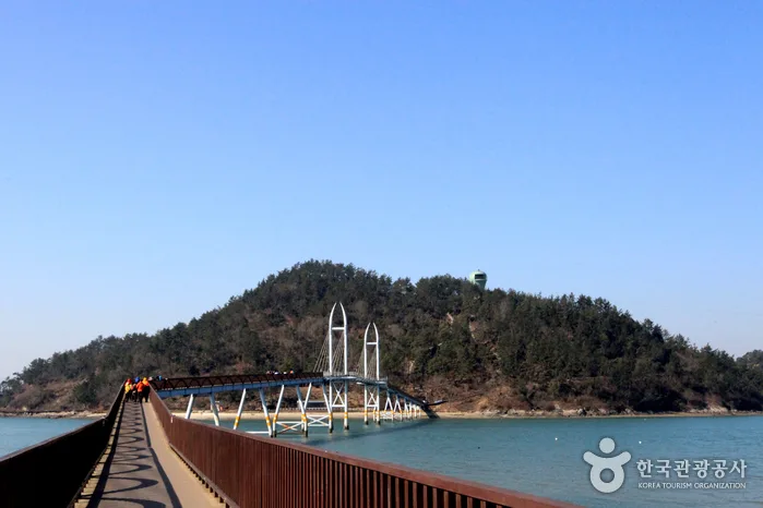 출렁다리 건너 섬으로