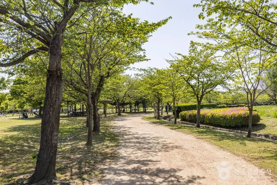 부산_을숙도공원 (15)