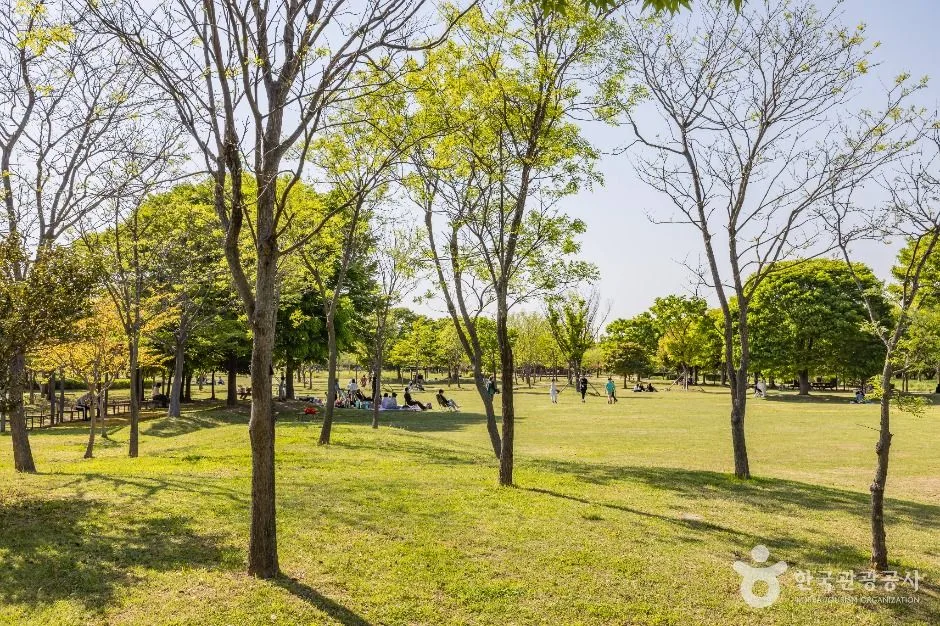 부산_을숙도공원 (14)