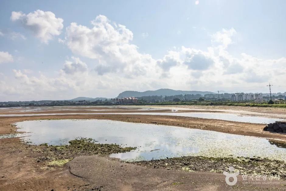 제주_종달리해변 (3)