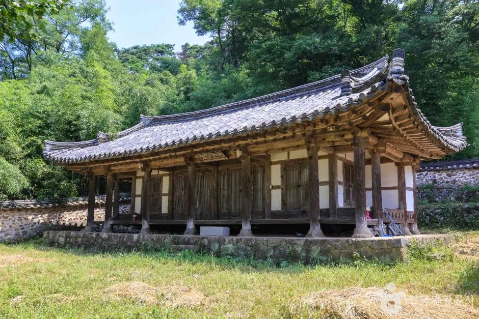 두남제 (4)
