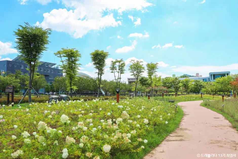 나주_영산포철도공원 (5).jpg