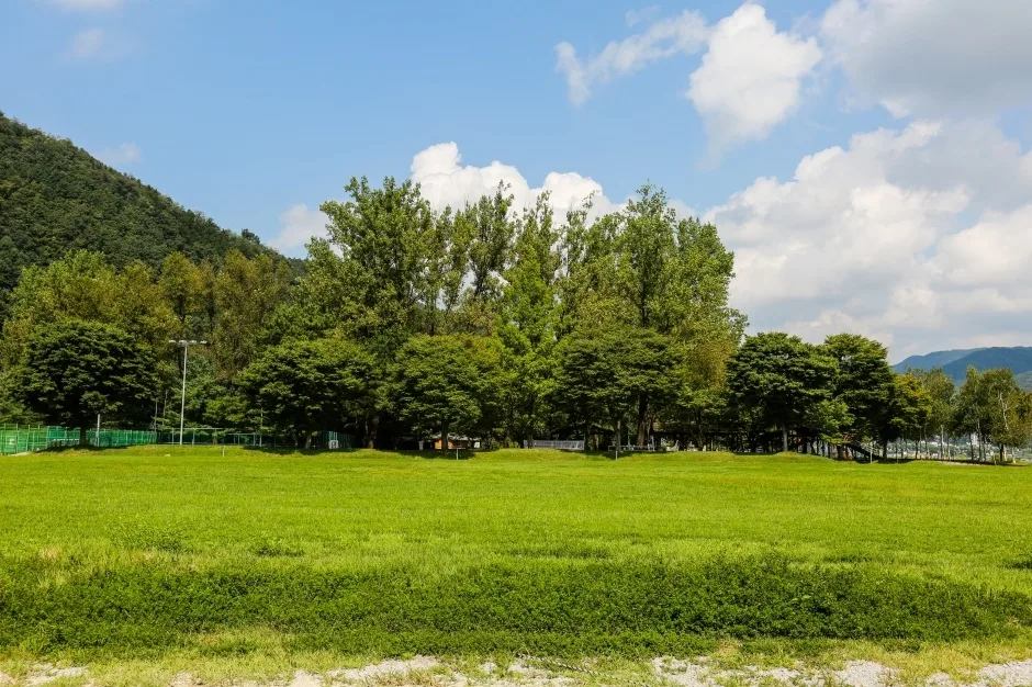 화천_붕어섬 (3)