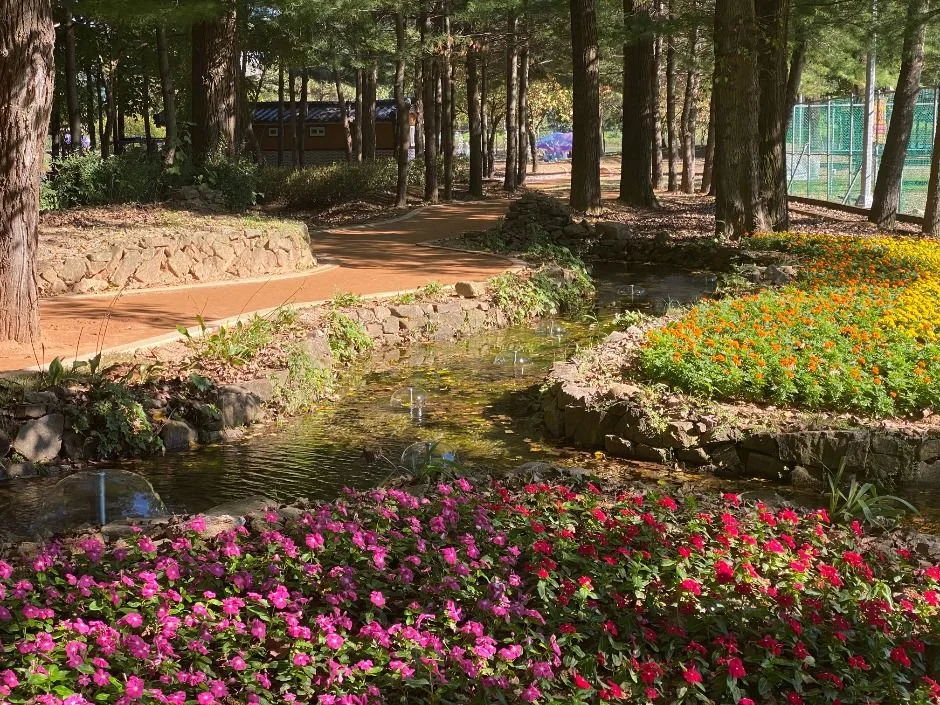 화천_붕어섬 (5)
