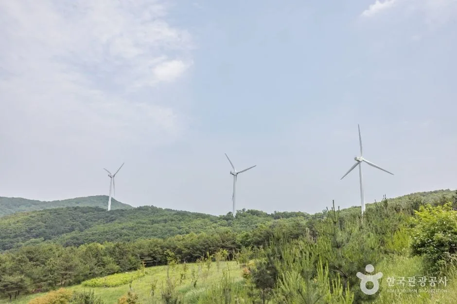 경주_경주 풍력발전(바람의언덕) (10)