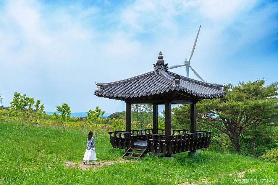 경주_경주 풍력발전(바람의언덕) (14)