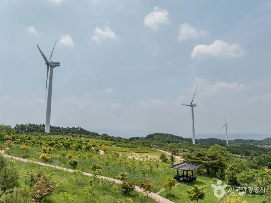 경주_경주 풍력발전(바람의언덕) (9)