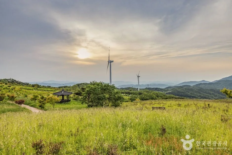 경주_경주 풍력발전(바람의언덕) (12)