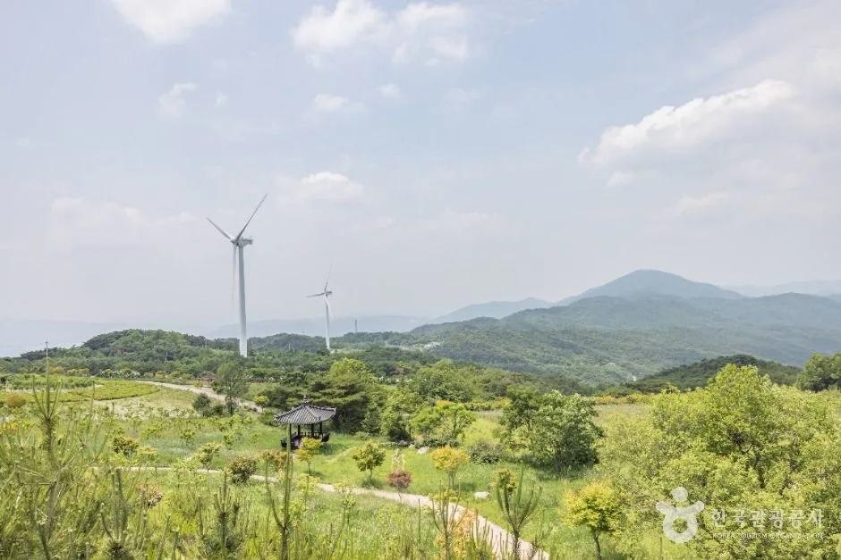 경북_경주_경주 풍력발전(바람의언덕)_외부_2.jpg