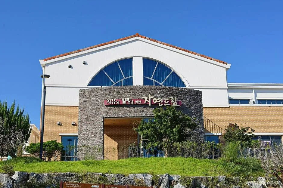 추석연휴 충북 괴산 아이와 가볼만한곳_자연드림파크4-10