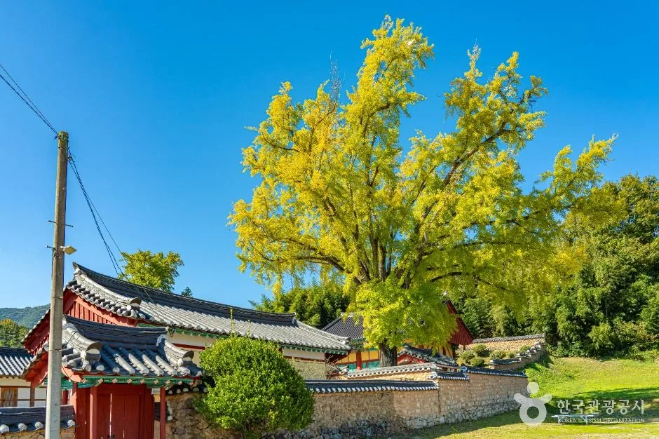 구례_구례향교 (4)