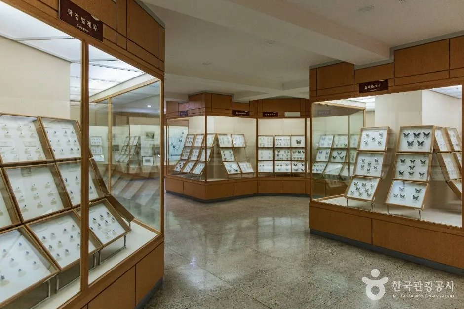 서울_경희대학교 자연사박물관 (4)