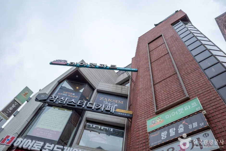 미어캣파크 (5)