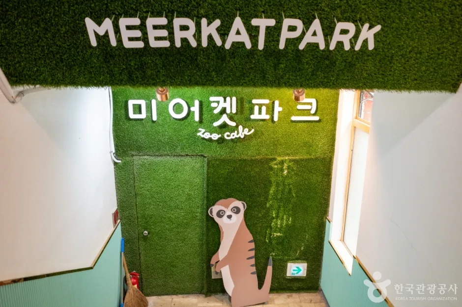 미어캣파크 (7)