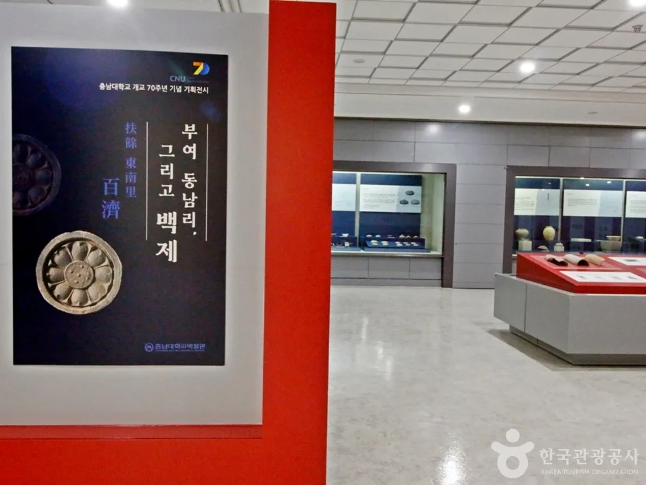 충남대학교박물관 (18)