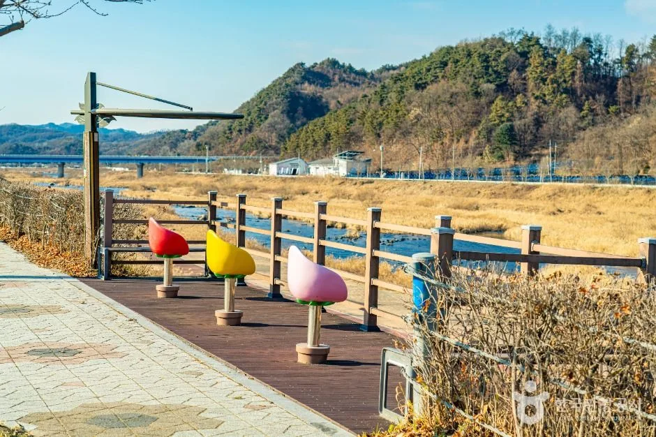 횡성_섬강(섬강유원지) (3)