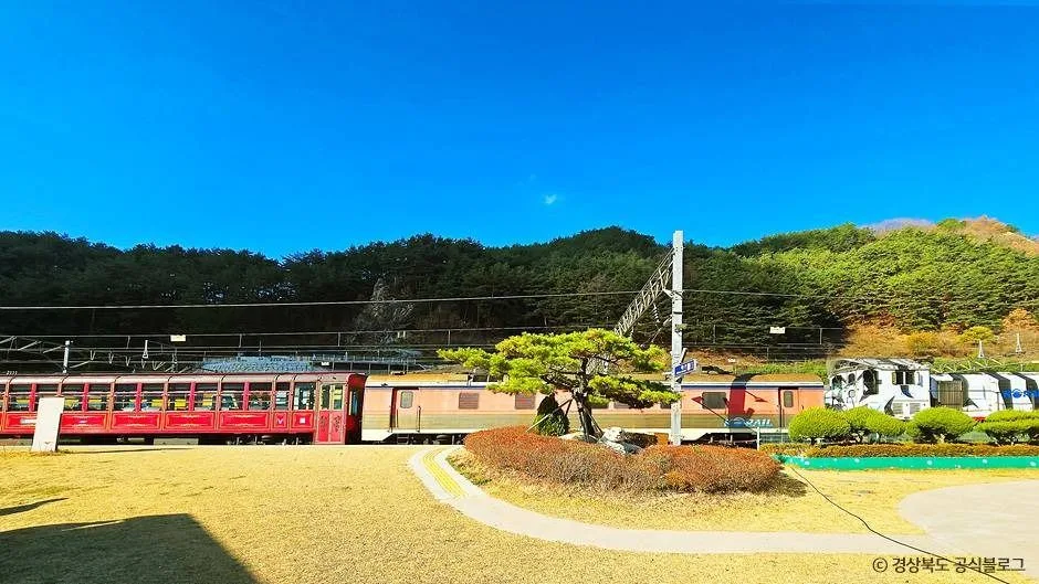 봉화_분천 산타마을 (14)