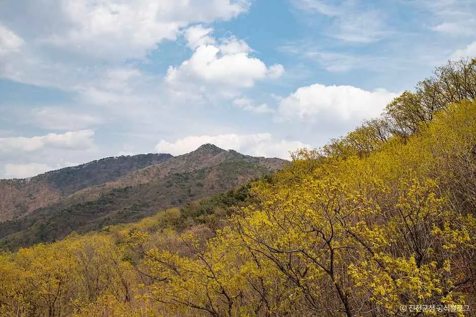 진천_한반도지형전망공원 (11).jpg
