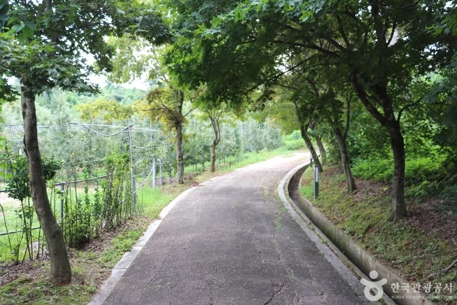 고산 9경 (9)_e