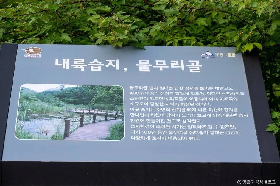 영월_물무리골생태습지 (2)