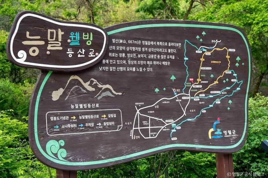 영월_물무리골생태습지 (17)