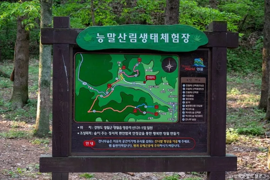 영월_물무리골생태습지 (14)