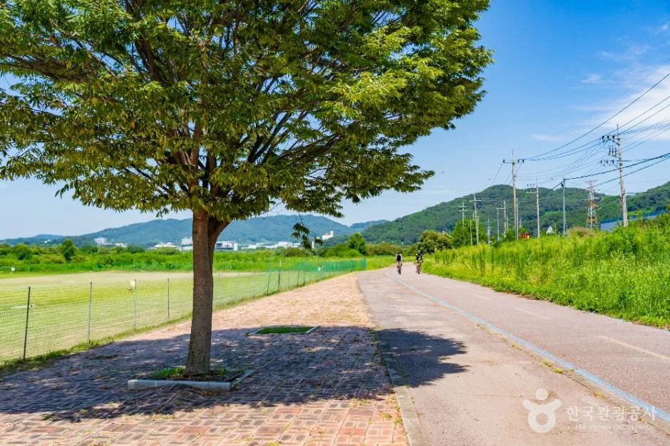 세종_부용체육공원 (6)