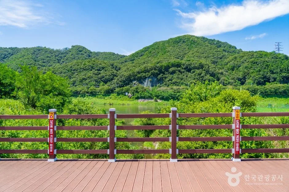 세종_부용체육공원 (4)