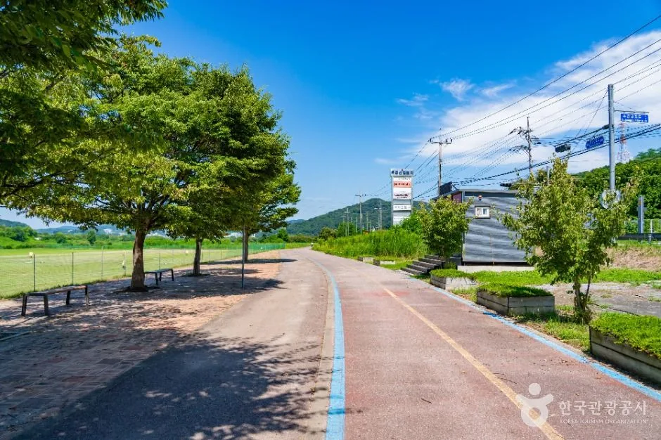 세종_부용체육공원 (1)