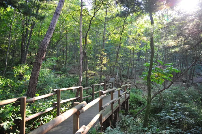 경기_여주_여강길 (6).jpg