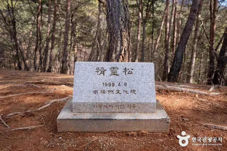 강원_영월_영월 장릉(단종) [유네스코 세계유산]_외부_5.png