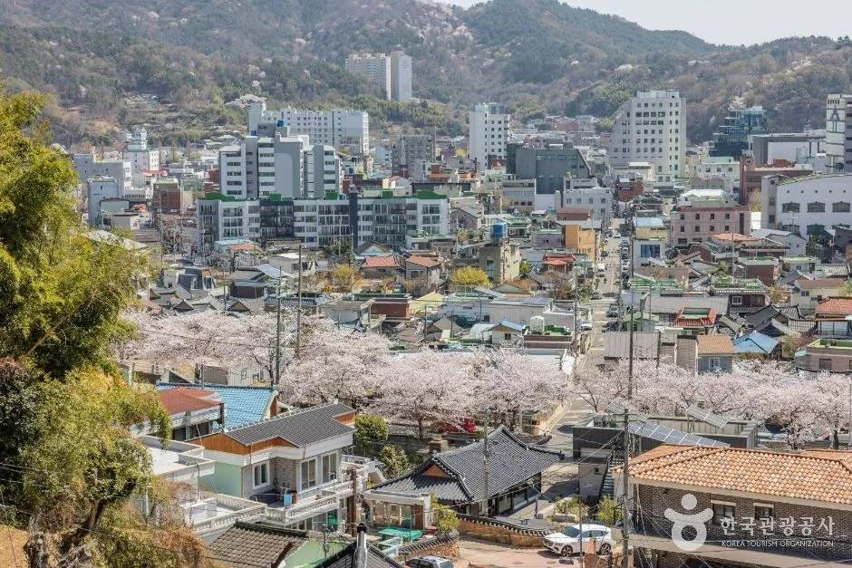순천_공마당둘레길 (11)