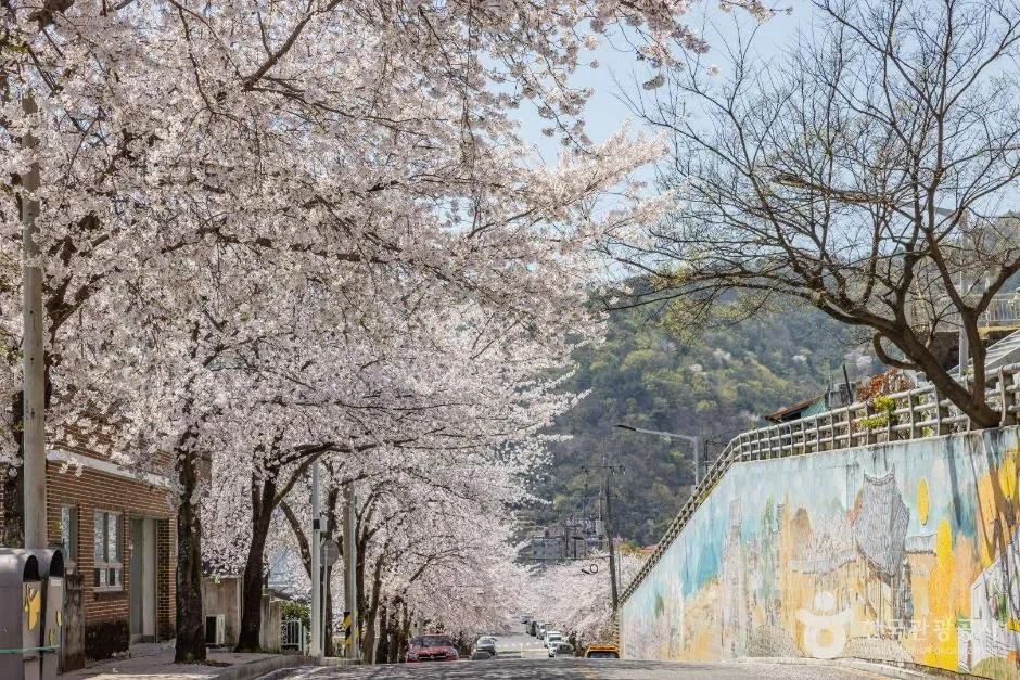 순천_공마당둘레길 (18)
